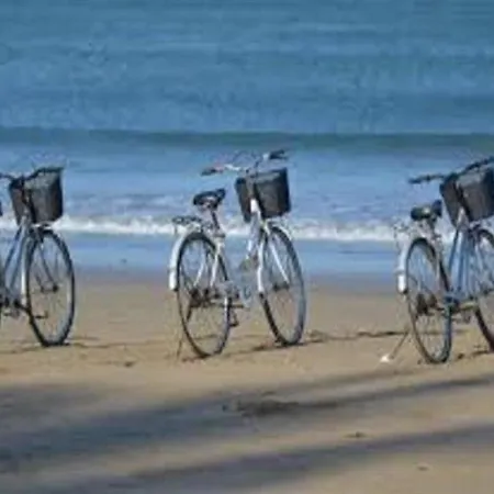 Arcachon, 3 Pieces, 6 Personnes - Fr-1-374-42 公寓 阿卡雄